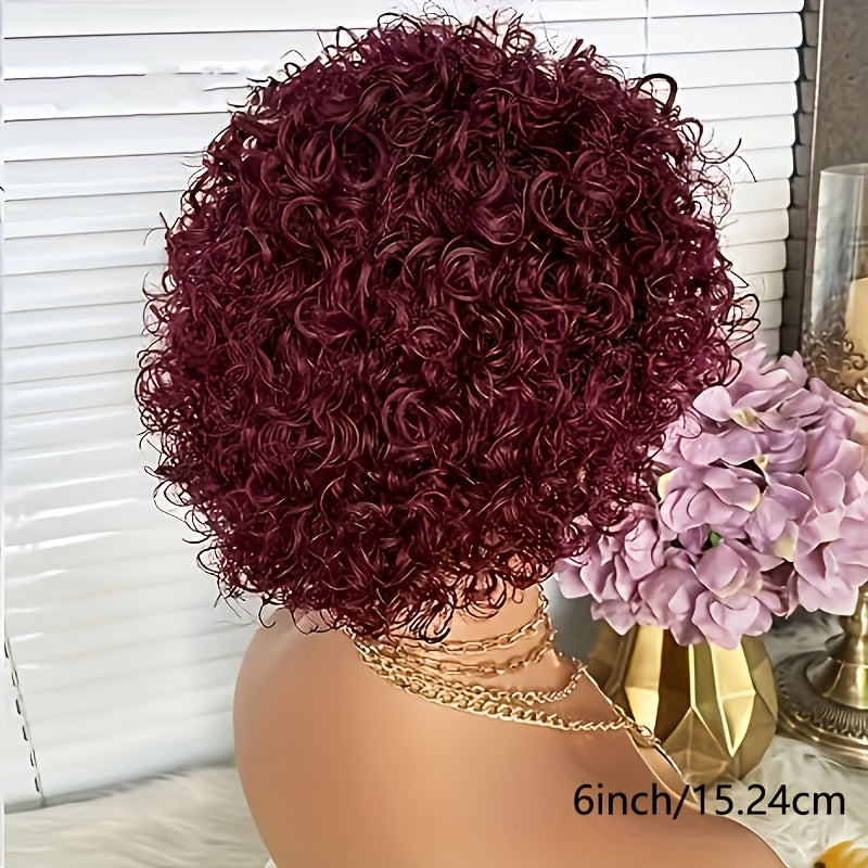 Pixie Cut Wig Short Curly Lace Front Human Hair Wigs for  Women Brazilian Water Wave 13x1 Transparent Lace Wigs (1B# 99J  T1B/99J)