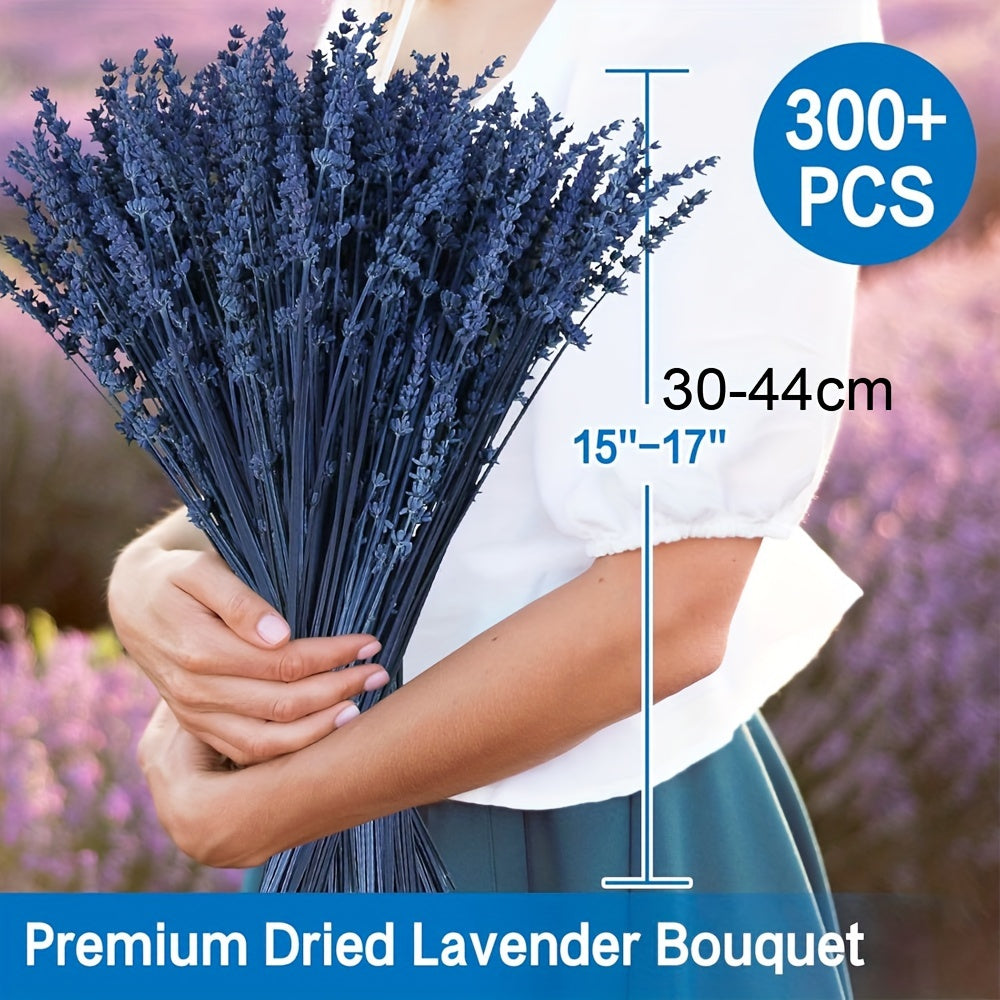 Premium Blue Lavender Bouquet - 50+ Stems, Dried & Preserved for Home Decor, Weddings, Showers | Aromatherapy Relaxation Fragrance